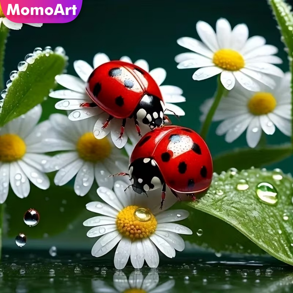 Momoart Diamond Painting Ladyb - огляд і ціна Resin Craft For Beginners